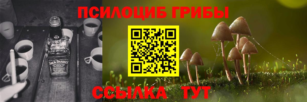 Псилоцибиновые грибы GOLDEN TEACHER  Галлюциногенные грибы прущие грибы  где можно купить наркотик  Елабуга  Вход с VPN 